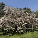 北京旅游 缩略图 12
