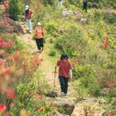 厦门旅游 缩略图 3