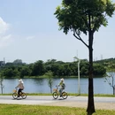 深圳旅游 缩略图 3