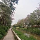 广州旅游 缩略图 12