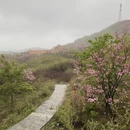 宁波旅游 缩略图 16