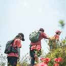 厦门旅游 缩略图 9