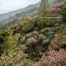 宁波旅游 缩略图 18