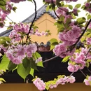 上海旅游 缩略图 1