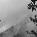 黄山旅游 缩略图 4