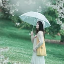 上海旅游 缩略图 2
