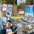 无锡旅游 缩略图 18