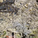 北京旅游 缩略图 5