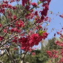 北京旅游 缩略图 11
