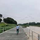 深圳旅游 缩略图 10