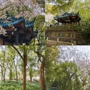 无锡旅游 缩略图 15