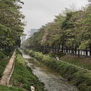 广州旅游 缩略图 5