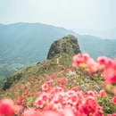 厦门旅游 缩略图 14