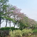 广州旅游 缩略图 9