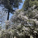 北京旅游 缩略图 1
