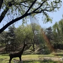 北京旅游 缩略图 14