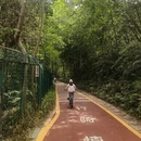 深圳旅游 缩略图 14