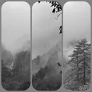 黄山旅游 缩略图 1