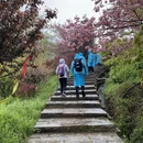 宁波旅游 缩略图 15