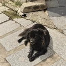黄山旅游 缩略图 8