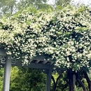南京旅游 缩略图 3