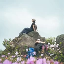 厦门旅游 缩略图 10