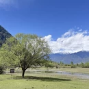 林芝旅游 缩略图 10