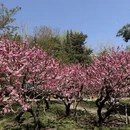 北京旅游 缩略图 8