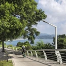 深圳旅游 缩略图 6