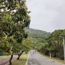 深圳旅游 缩略图 15