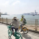 深圳旅游 缩略图 7