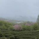宁波旅游 缩略图 17