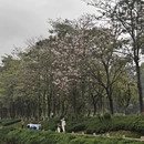 广州旅游 缩略图 1