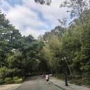 深圳旅游 缩略图 17