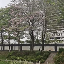 广州旅游 缩略图 4