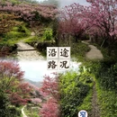 宁波旅游 缩略图 3