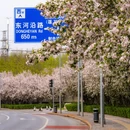 北京旅游 缩略图 2
