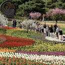 北京旅游 缩略图 1
