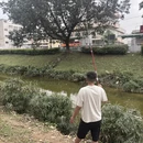 广州旅游 缩略图 14