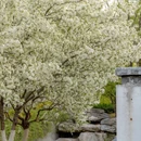 北京旅游 缩略图 8