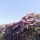 吉安旅游 缩略图 1