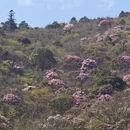 吉安旅游 缩略图 2