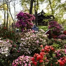 苏州旅游 缩略图 1