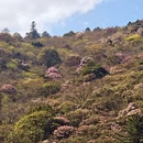 吉安旅游 缩略图 4