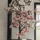 苏州旅游 缩略图 2