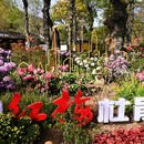 苏州旅游 缩略图 7