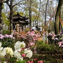 苏州旅游 缩略图 8