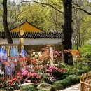 苏州旅游 缩略图 11