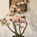 苏州旅游 缩略图 10