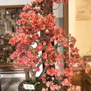 苏州旅游 缩略图 4